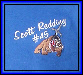 Scott-Redding45.co.uk